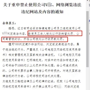 非法浏览境外网站，深圳某跨境公司和员工双双被行政处罚！ ...